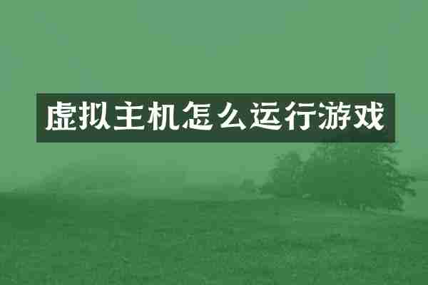 虚拟主机怎么运行游戏