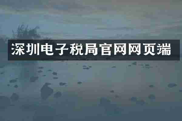 深圳电子税局官网网页端
