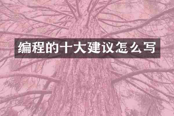 编程的十大建议怎么写
