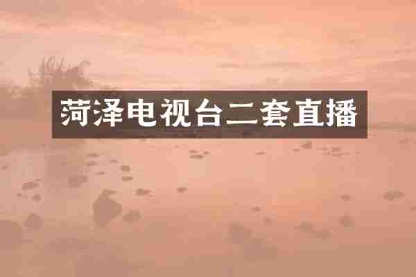 菏泽电视台二套直播
