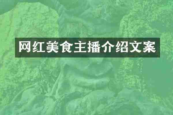 网红美食主播介绍文案