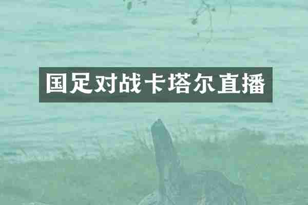 国足对战卡塔尔直播
