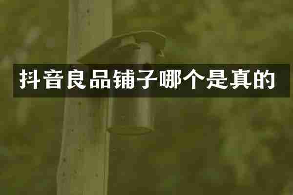 抖音良品铺子哪个是真的