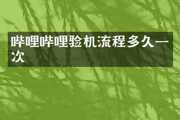 哔哩哔哩验机流程多久一次