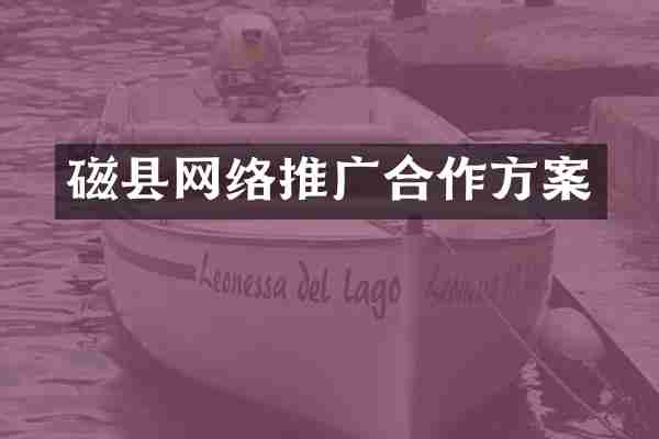 磁县网络推广合作方案