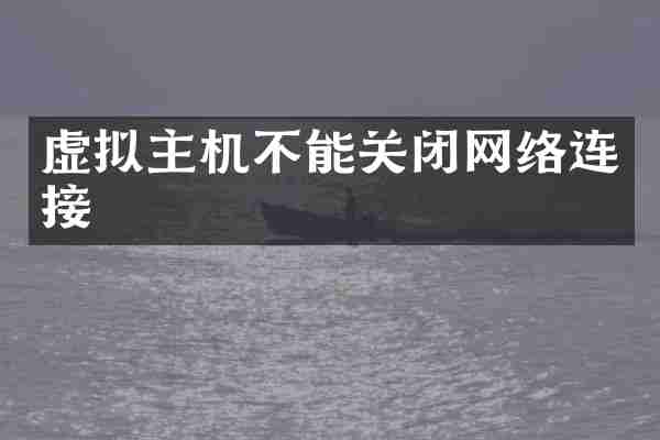 虚拟主机不能关闭网络连接