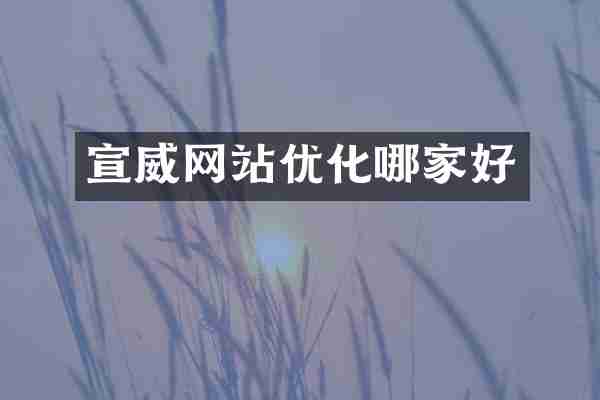 宣威网站优化哪家好