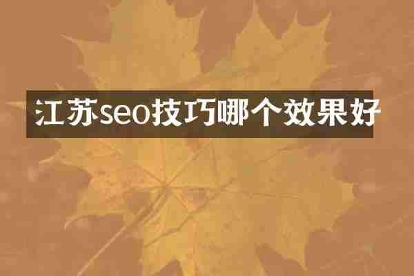 江苏seo技巧哪个效果好