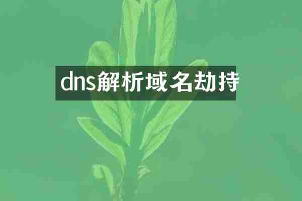 dns解析域名劫持