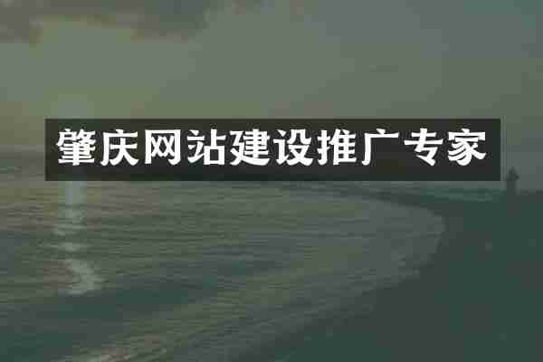 肇庆网站建设推广专家