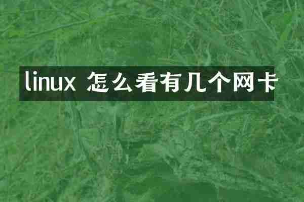 linux 怎么看有几个网卡
