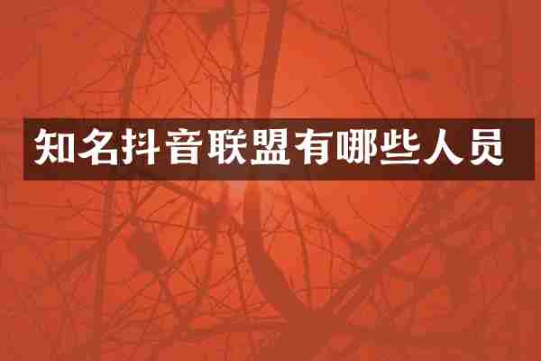 知名抖音联盟有哪些人员