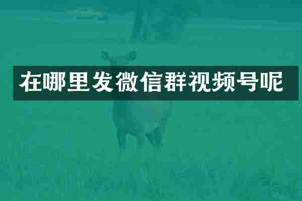 在哪里发微信群视频号呢