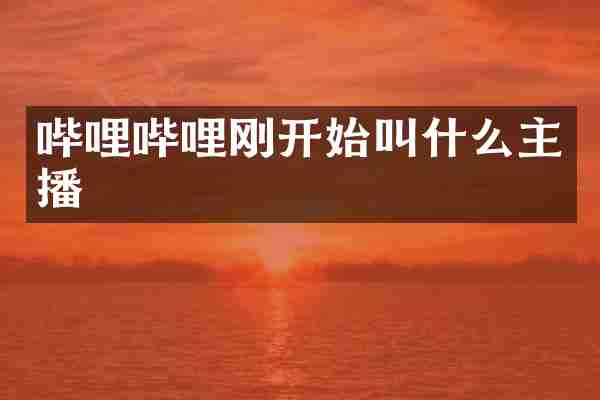 哔哩哔哩刚开始叫什么主播