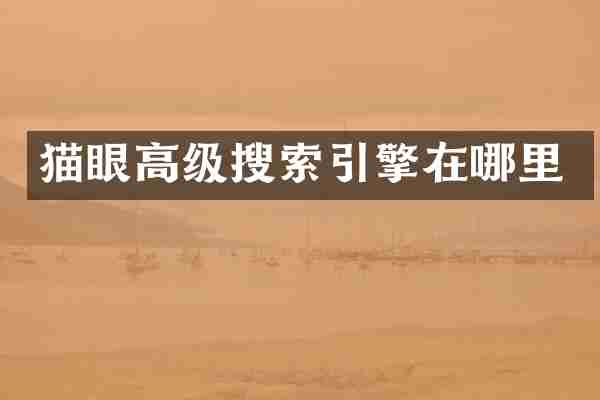 猫眼高级搜索引擎在哪里