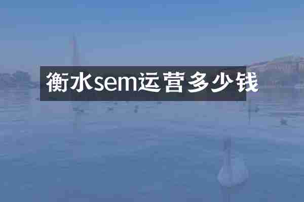 衡水sem运营多少钱