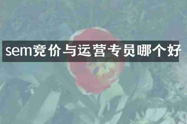 sem竞价与运营专员哪个好