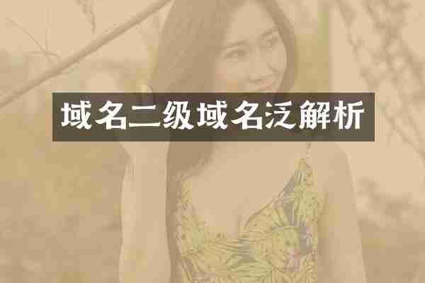 域名二级域名泛解析