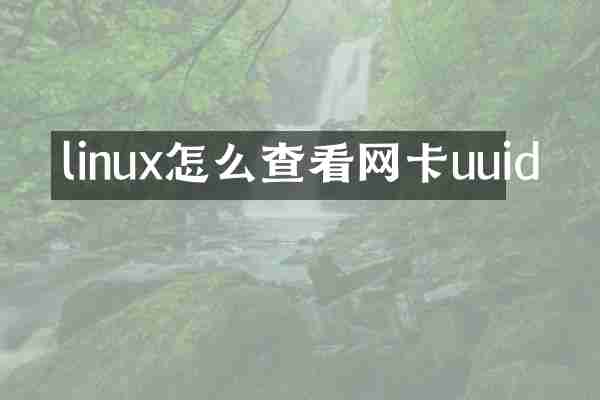 linux怎么查看网卡uuid