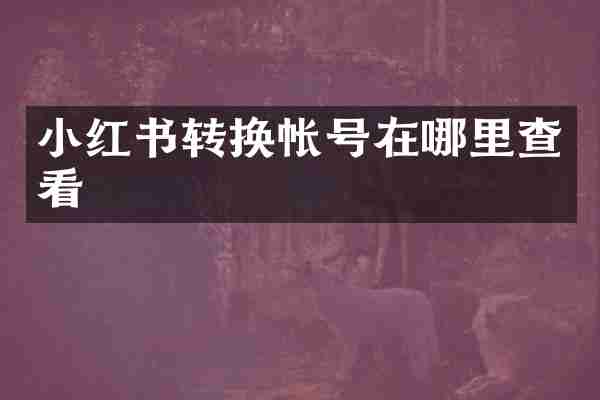 小红书转换帐号在哪里查看