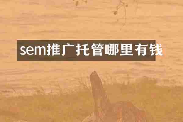 sem推广托管哪里有钱