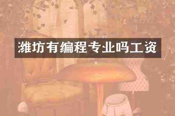 潍坊有编程专业吗工资