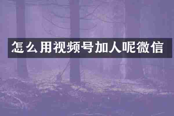 怎么用视频号加人呢微信