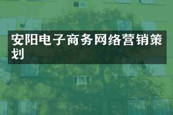 安阳电子商务网络营销策划