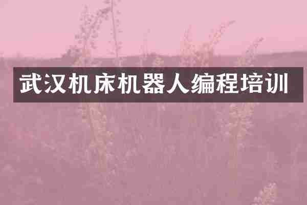 武汉机床机器人编程培训