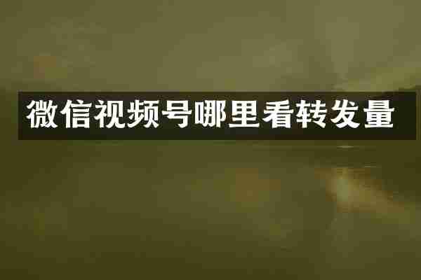 微信视频号哪里看转发量