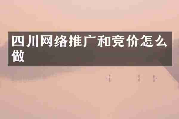 四川网络推广和竞价怎么做