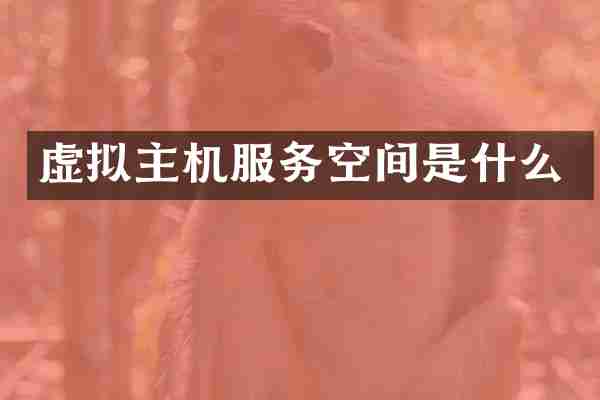 虚拟主机服务空间是什么