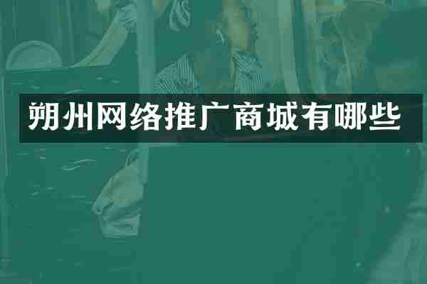 朔州网络推广商城有哪些