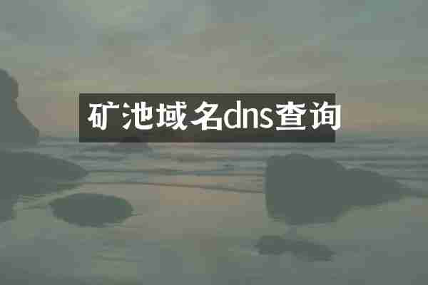 矿池域名dns查询