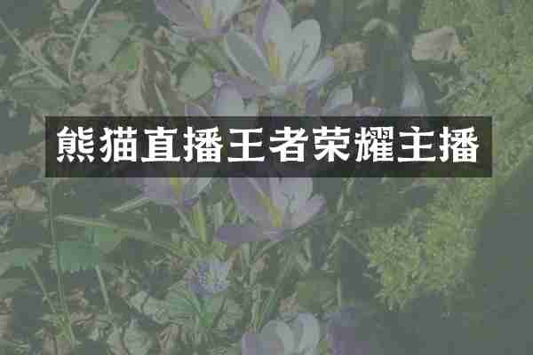 熊猫直播王者荣耀主播