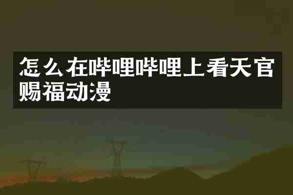 怎么在哔哩哔哩上看天官赐福动漫