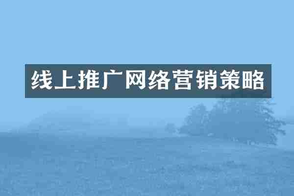 线上推广网络营销策略
