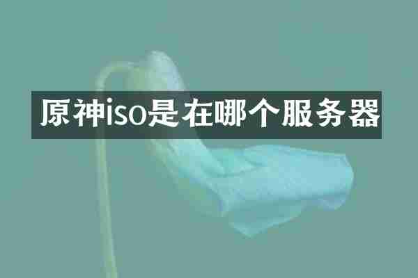 原神iso是在哪个服务器