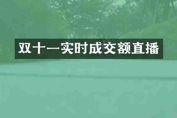 双十一实时成交额直播