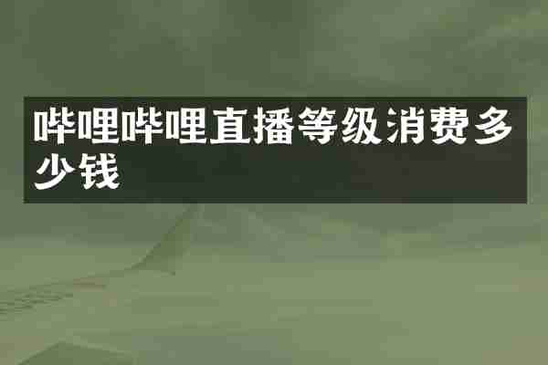 哔哩哔哩直播等级消费多少钱