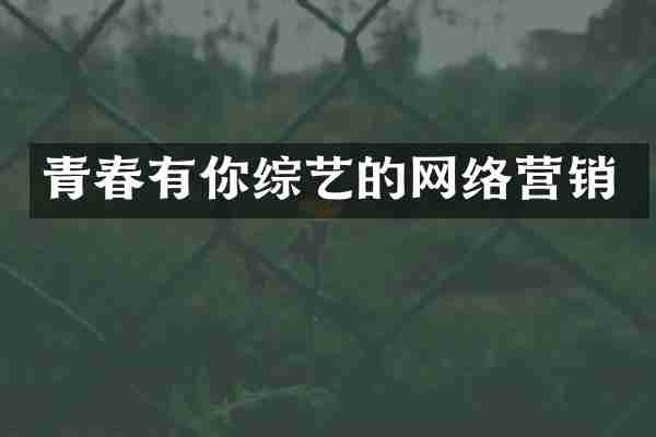 青春有你综艺的网络营销