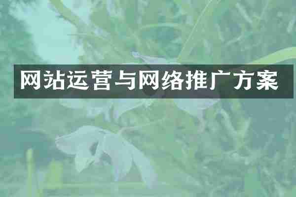 网站运营与网络推广方案