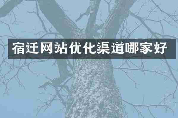 宿迁网站优化渠道哪家好