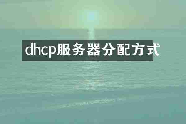 dhcp服务器分配方式