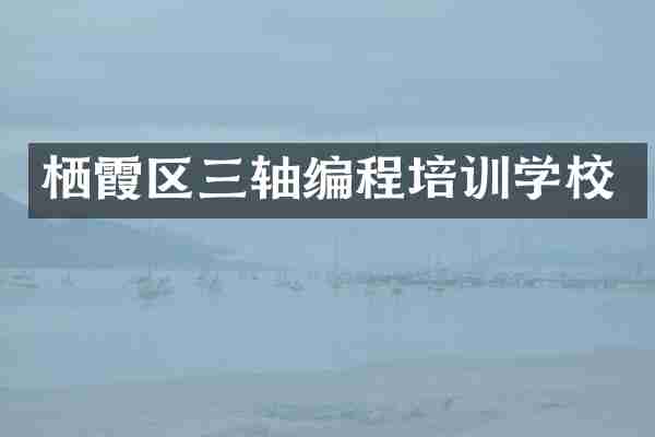 栖霞区三轴编程培训学校