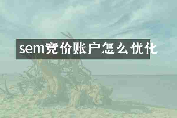 sem竞价账户怎么优化
