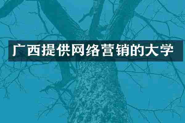 广西提供网络营销的大学