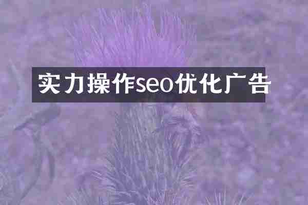 实力操作seo优化广告