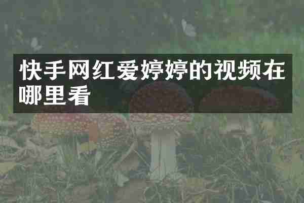 快手网红爱婷婷的视频在哪里看