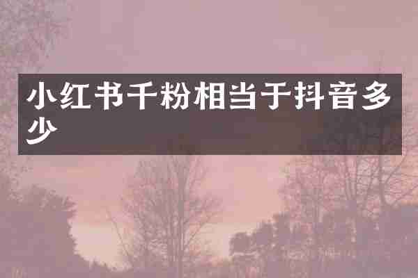 小红书千粉相当于抖音多少